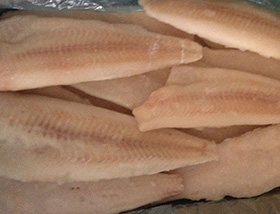 鱈魚